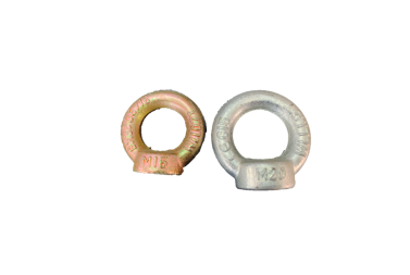 Lifting Eye Nut (DIN 582)