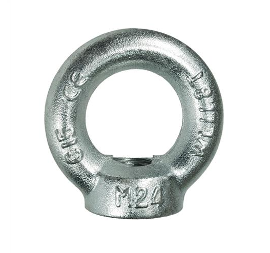 Lifting Eye Nut (DIN 582)