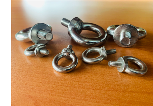 Stainless Steel Collared Eye Bolts