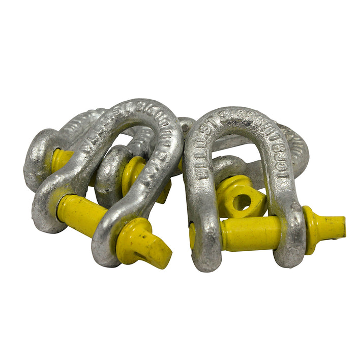 Grade S Dee Shackle Screw Pin